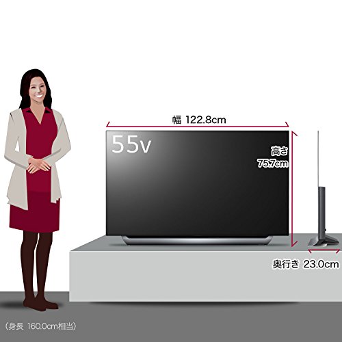 有機EL採用の55インチ大型ゲーミングテレビ「LG OLED55C8PJA」を